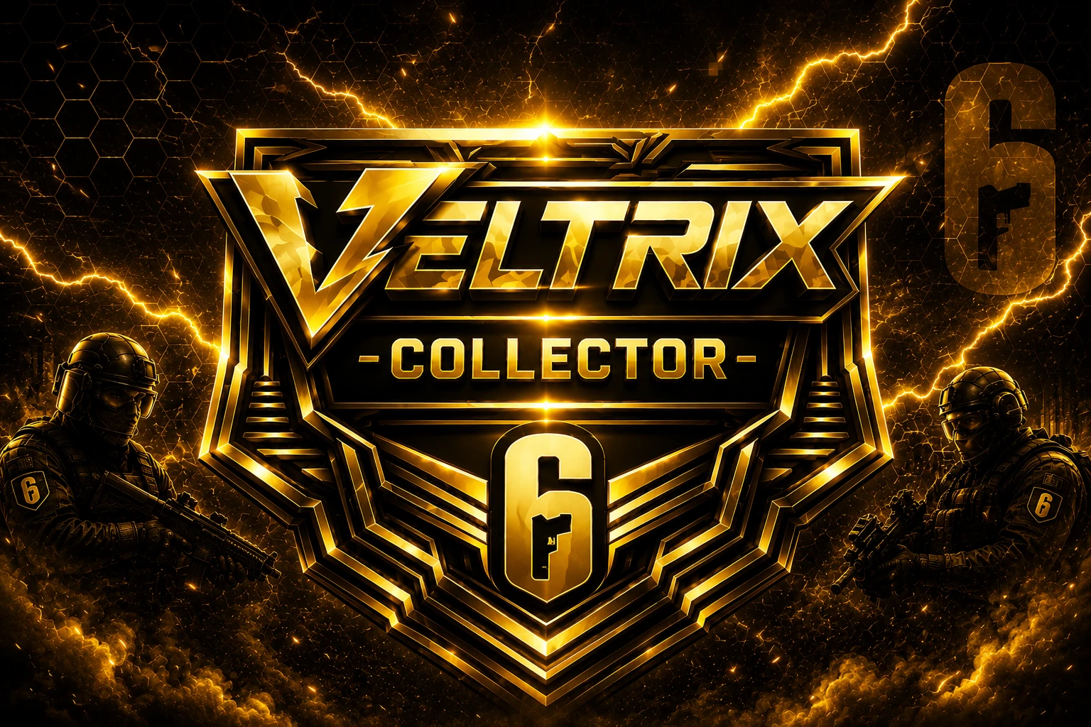 Collector Accounts
